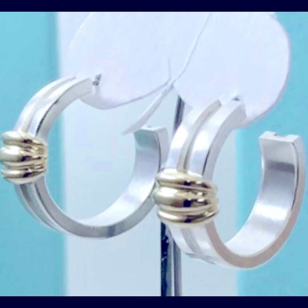 Tiffany&Co. Sterling Silver 18K Post Earrings 1995